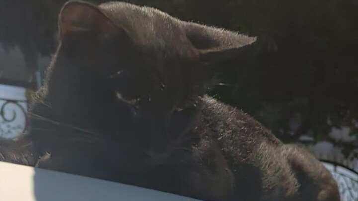 HAHAHAHAHA 189 sub indo