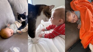 Cat: Let’s grow up together starting today