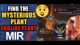 Find the Mysterious Plant "Egglike Plant" Guide | MIR4 Request Walkthrough #MIR4 Taoist Class