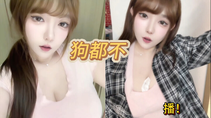 Người phát trực tiếp mà chó cũng chê