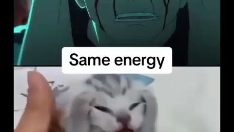 choso and cat