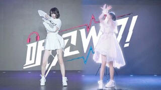 【小羊】听见WO！【BDF2025】