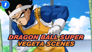 Have You Ever Seen... Vegeta Being So Caring?_1