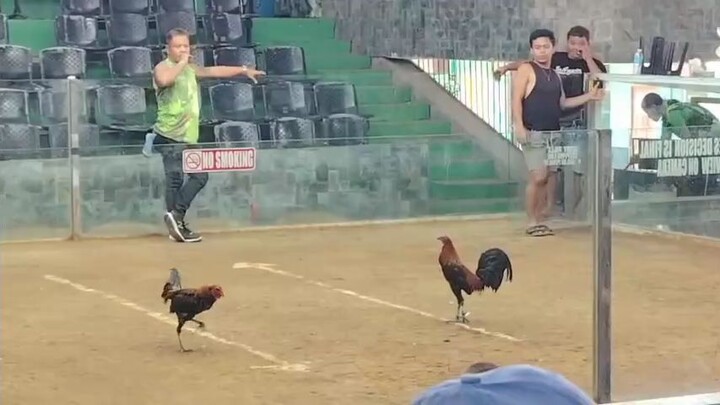 2hits @SEGUNDO ARENA 4/12/26 first fight W