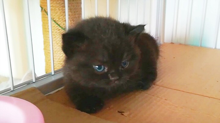 Xiao Tantou nggak suka sama Ayah karena mereka terlalu berbeda.