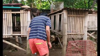#dom