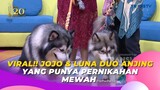 VIRAL!! JOJO & LUNA Duo Anjing Yang Punya Pernikahan Mewah | BROWNIS (18/7/23) P1