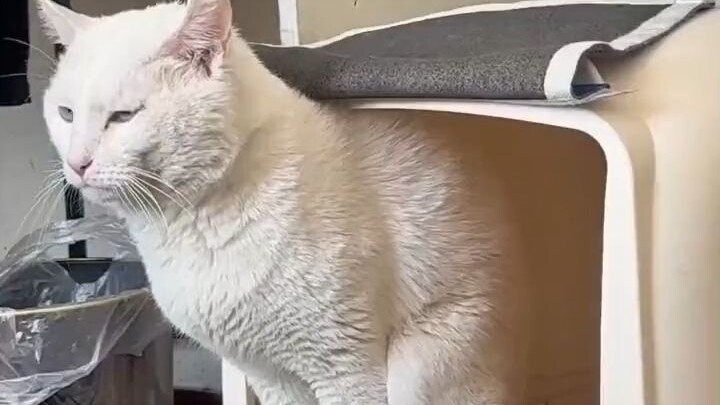 My body is out of control!