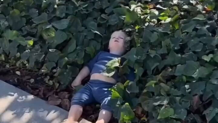 Bé cưng nổi bật với vẻ thư thái, thoải mái nằm lăn lóc khắp nơi...