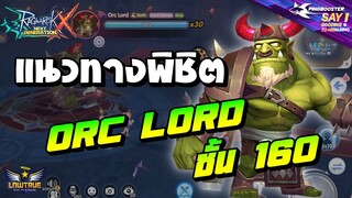 แนวทางพิชิต Orc Lord ชั้น 160 แบบไม่มีสุลต่านแบก | ROX Ragnarok X: Next Generation