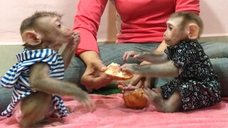 Pomegranate eating competition, Mino and coconut