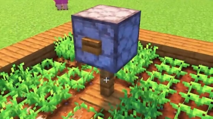 Minecraft: Bangun Kotak Surat!