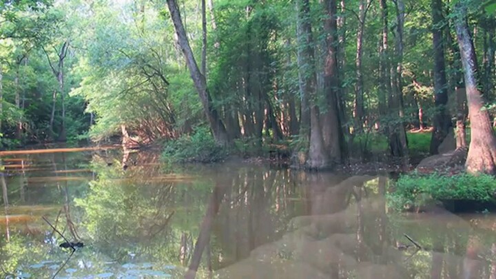 how it work hundred years ago without human