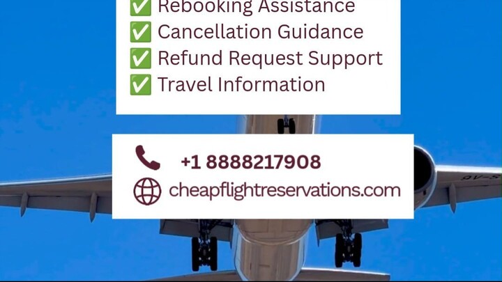 Qatar Airways Flight Delayed or Cancelled? What to Do Next ✈️