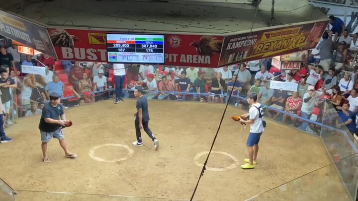 Win Gb in 5stag derby bustos big event