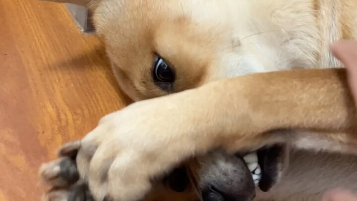 เงินเดือนเดือนสิงหาคมและสวัสดิการวันไหว้พระจันทร์ได้จ่ายแล้ว โปรดตรวจสอบให้ดีนะคะ