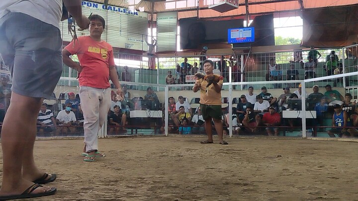 2nd fight lambohon native unscratch