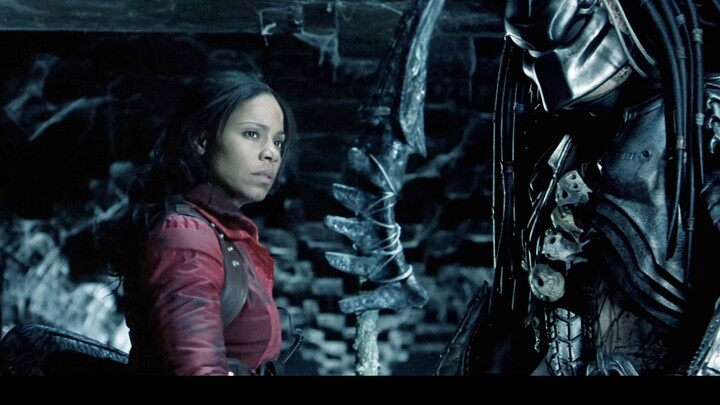 Scar, the most reliable warrior among the Predators, teams up with humans to slay the Alien Queen.