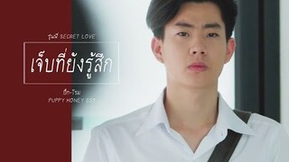 เจ็บที่ยังรู้สึก - ปิ๊กโรม รุ่นพี่ SECRET LOVE