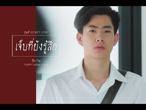 เจ็บที่ยังรู้สึก - ปิ๊กโรม รุ่นพี่ SECRET LOVE