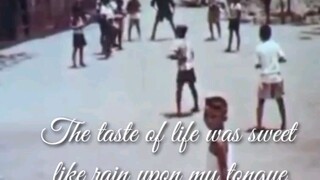 yesterday when I was young