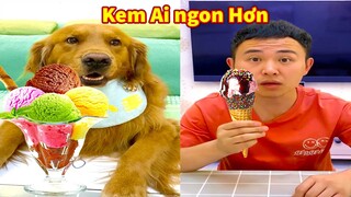 Thú Cưng TV | Đa Đa Thánh Chế #44 | Chó Golden Gâu Đần thông minh vui nhộn | Pets cute smart dog