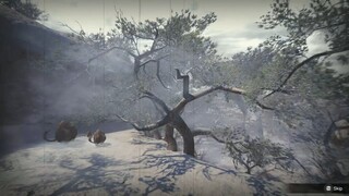 MONSTER HUNTER RISE Pt.5-Great Baggi