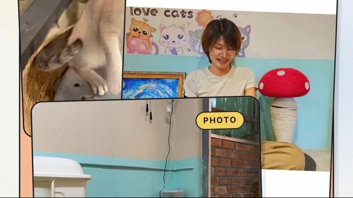 Three Cats, One Coffee | กาแฟหนึ่งแก้วกับเพื่อนใหม่สามตัว