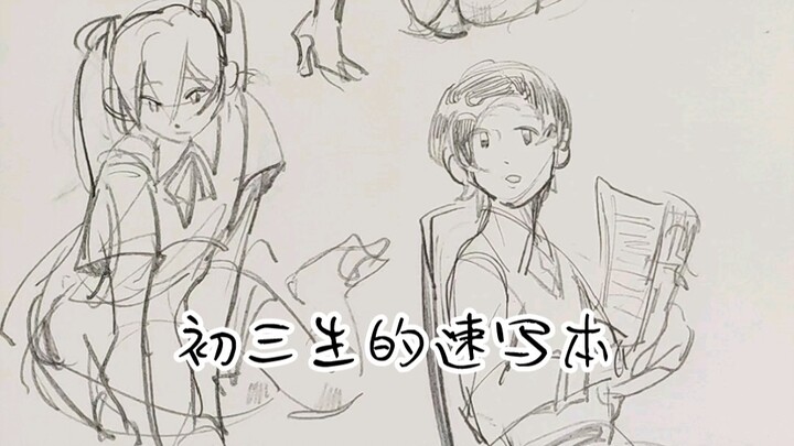 It’s a sketchbook belonging to an ordinary ninth-grader.