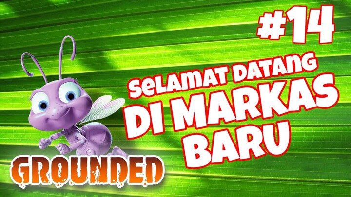 WELKAM TWO MARKAS NEW  - Grounded #14