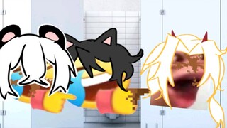 ［卡/米/猫］逆天小动画，ooc预警
