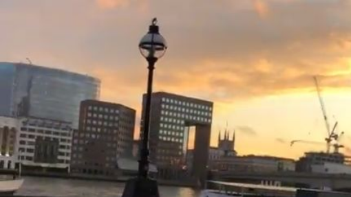 Lghorba for life __ Live Day 28-09-2025 (432p)