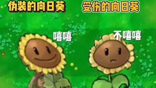 杂交版新植物－伪装的向日葵