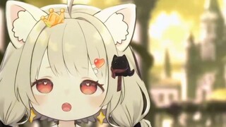 Live broadcast? Even dogs don’t…