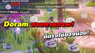 Doram สายกายภาพ! ตีแรงใช้ของน้อย! | Ragnarok Origin (ROO)