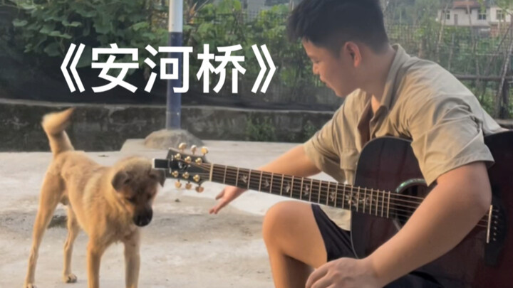 سمعت أن الكلاب على جانب الطريق تشعر بالندم وهي تستمع إلى عزف “جسر آنهه”.. دعني أرى اليوم ما القصة!