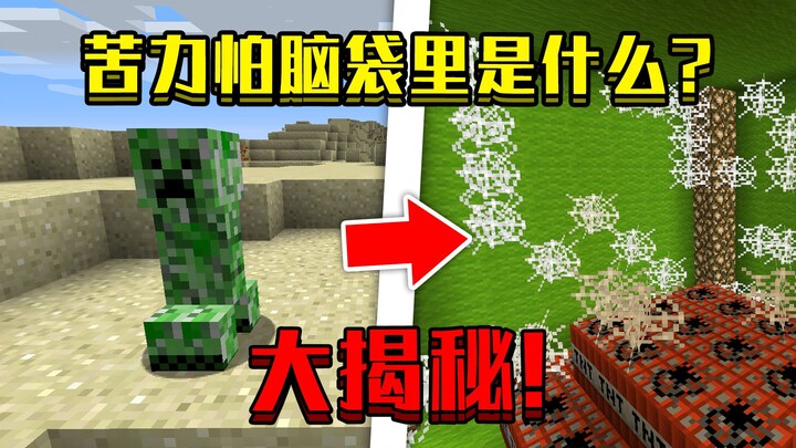 Khi chui vào đầu Creeper trong Minecraft! Bên trong có gì nhỉ!