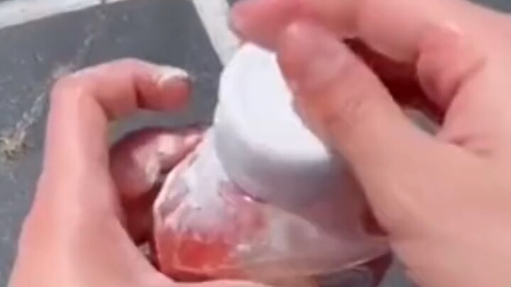 ดีๆๆ แบบนี้แหละแซ่บใช่มั้ย?