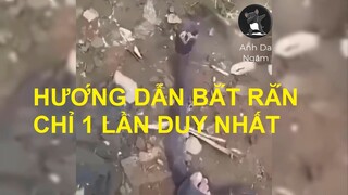 Hướng Dẫn Bắt Rắn Chỉ 1 Lần Duy Nhất | Anh Da Ngăm