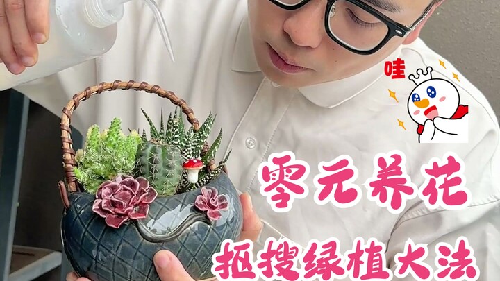 بديل شعبي للنباتات الخضراء بـ 0 يوان، وحُرقت وحدة المعالجة المركزية خاصتي..