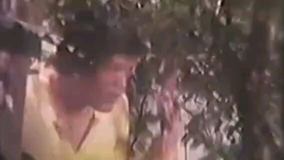 DOLPHY QUIZON | NANG UMIBIG ANG MGA GURANG (1982) FULL MOVIE