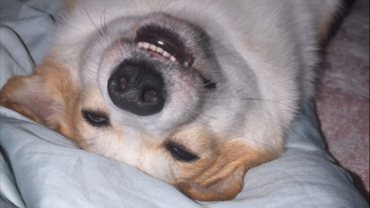 ما إن تصل منتصف الليل حتى يصبح منزلنا ملئًا بالحياة والضجيج!