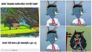 "tranh sơn dầu tuyệt đẹp"