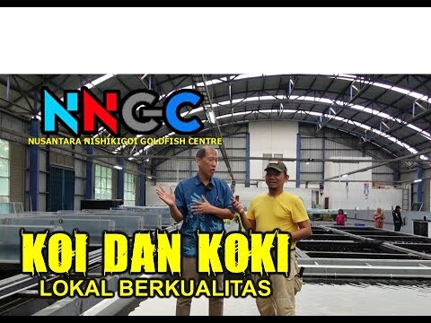 FARM NYA  NYAMAN  BANGET  BISA  AJAK KELUARGA KE NUSANTARA NISHIKIGOI GOLDFISH CENTRE CIBINONG
