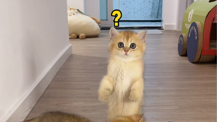 小老三：听说有人说我是傻子？我来澄清一下