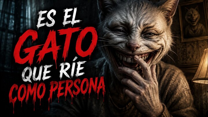 ¿Qué le pasa a este gato? Encuentros inexplicables