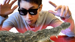 First time eating crocodile meat! Experience dark cuisine! ——Perspective Ji vlog