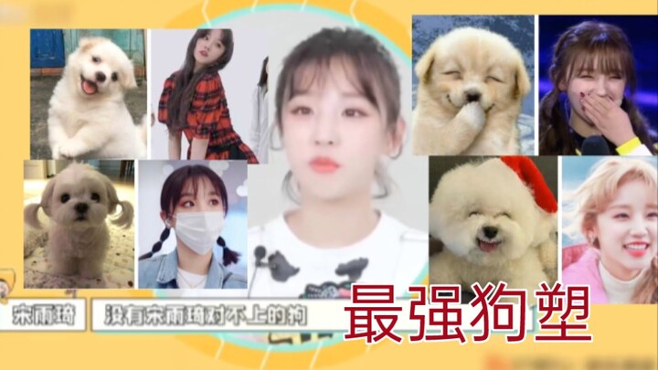 My fan said: No dog that doesn’t match up to Song Yiqi (Part 2)