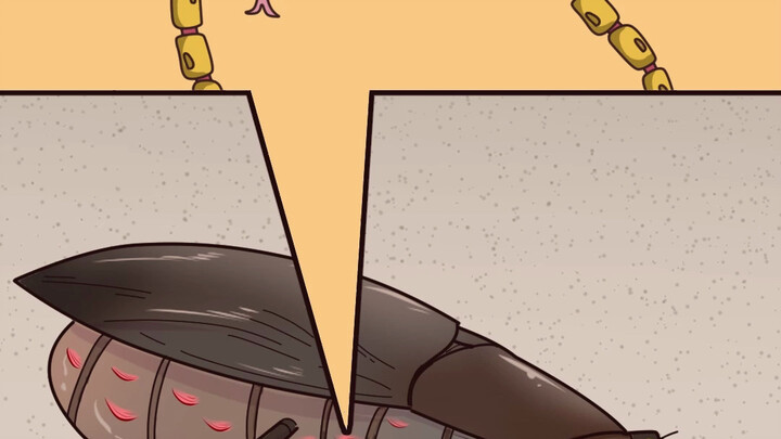 Gián không có đầu vẫn sống được sao?!