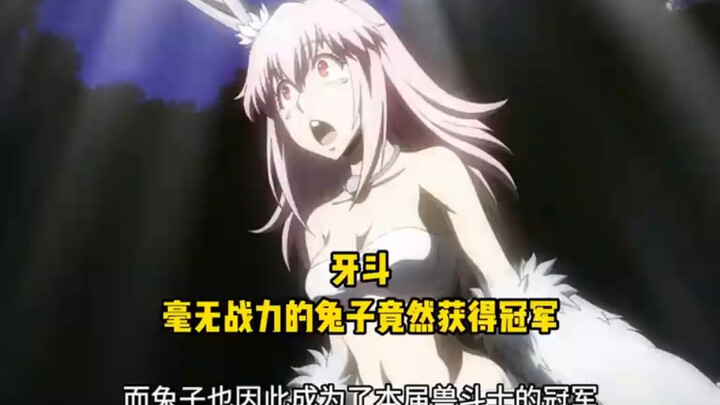 战力渣五的兔子竟然获得牙斗冠军
